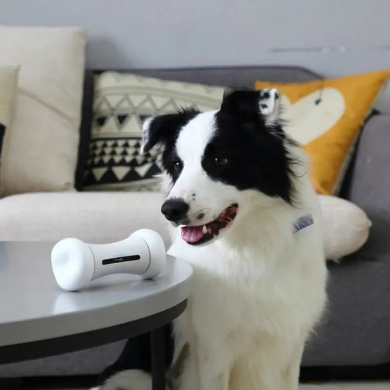 FUREVER PET™ Auto-Bone AI Dog Toy