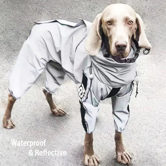 Reflective Dog Safety Raincoat
