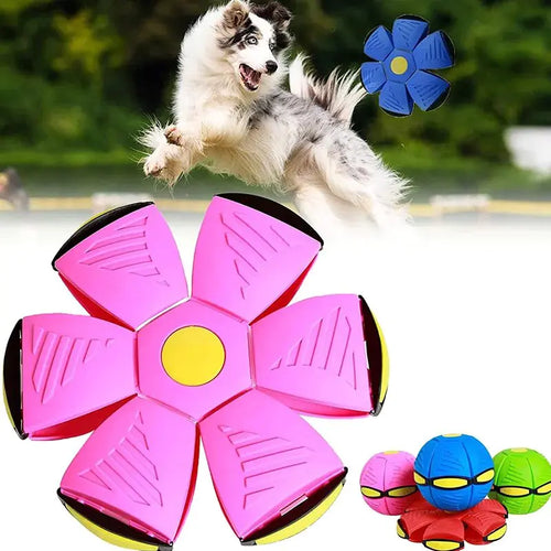 FUREVER PET™ Magic UFO 🛸 Dog Toy