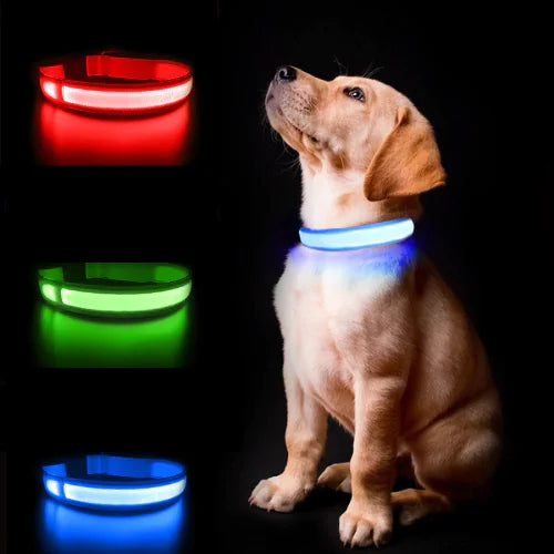 FUREVER PET™ Airtag LED NightWalk Collar