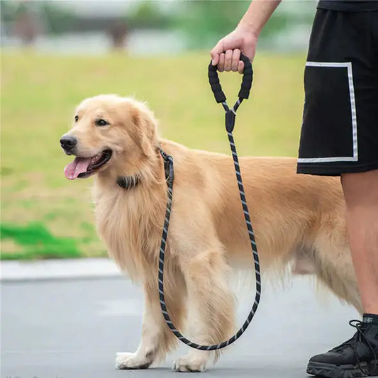 FUREVER PET™ Reflective Safety Dog Leash